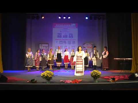 Liliana Anton - Multe case ruinate!🙏😔🙏⭕  ( Primă audiție)⭕