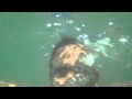 IMG 3355
