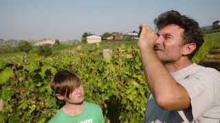 Test sugar...Father & Brother