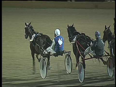 Trotto 25/11/2016 - 8ª corsa - TRIS