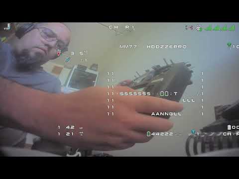 HD-Zero + MSP VTX + INAV + ELRS Backpack (first demo)