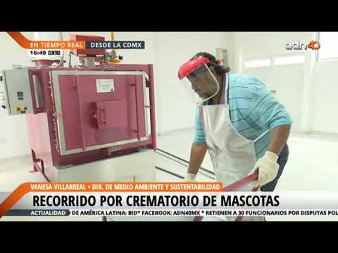 , title : 'Crematorio para mascotas en la CDMX'