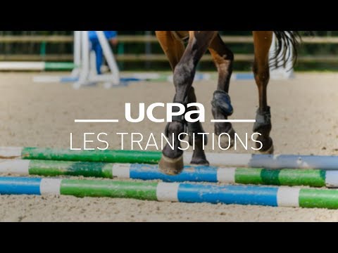 Tutos équitation #8 - La transition Trot - Arrêt - Trot
