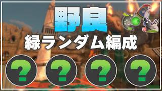 【野良3】どんぴこ《オール緑ランダム》【サーモンランNW】