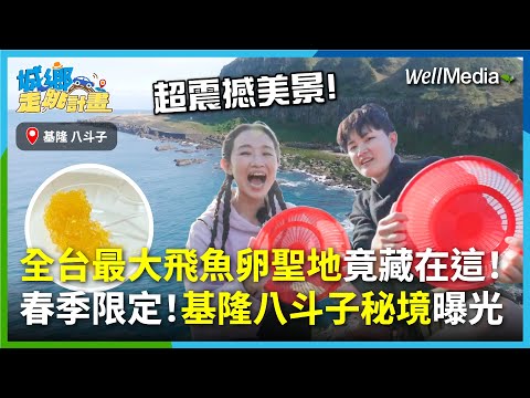 從台灣離島到全台最大飛魚卵聖地！在地人帶路揭基隆八斗子綠寶石秘境海岸，春季限定超夢幻美景，看過此生難忘！【城鄉走跳計畫】EP6