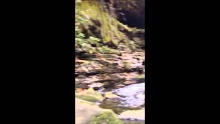preview picture of video 'Hidden Valley Springs Resort (Hidden Waterfall)'