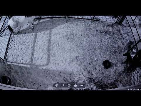 Foal Watch + New Foals 02.15.26