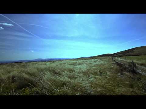 RHODES - What If Love [Official Live Demo]