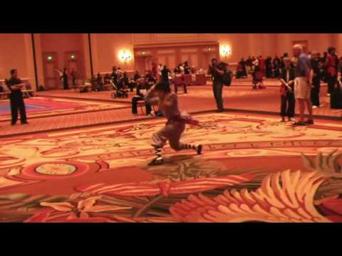 Xavier Praying Mantis.mp4