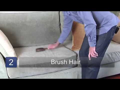 How to Get Dog Hair Off of Furniture