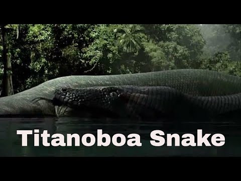 Titanoboa  Monster Snake | Titanoboa cerrejonensis | Boggest Snake | Snake Kill Dinosaur