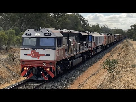 Combined SCT Bonanza (2PM9 / 9752) SCT009, CSR009, CLF4, CLF2, SCT003 23/4/21