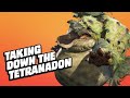 How to Take Down the Tetranadon in Monster Hunter Rise
