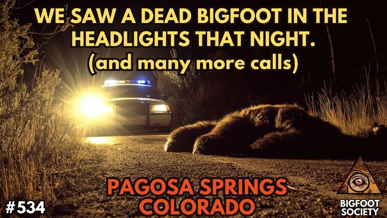 Dead Bigfoot in Colorado! (and other calls)