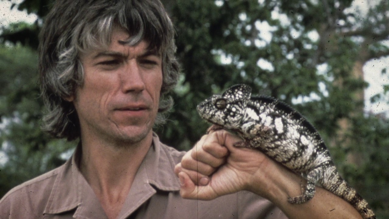 Thumbnail of the video