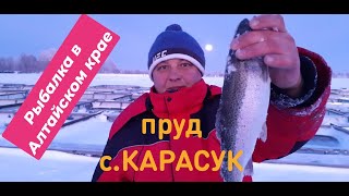 Рыбалка в алтайском крае алтайский край