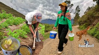 Download lagu I Walked Very Far Taking Lunch to My Brother at Work | Isabel Quispe mp3