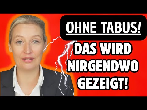 💥New Weidel interview before Christmas shocks all Germans: Citizens are being cheated!💥Alice Weidel