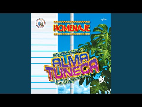 Diplomaticos Mix: Cumbia Universal / Yolanda / Boquita Salá / La Pollera Colora