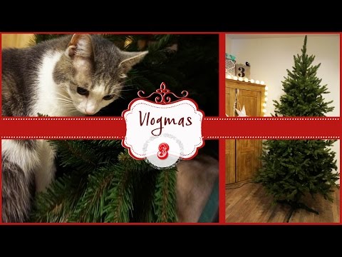 O CHOINKA !!! * VLOGMAS * Dzień 3 *