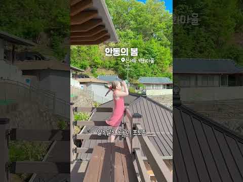 2025 안동 관광 숏폼 공모전 입선 미리보기 사진