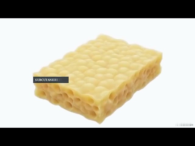 Judge.me YouTube video placeholder