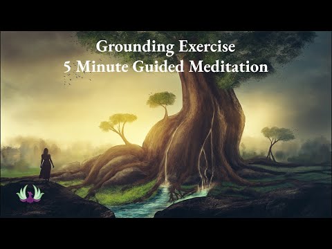 Quick 5 Minute Grounding Guided Meditation | Reduce Anxiety | Grounding Exercise