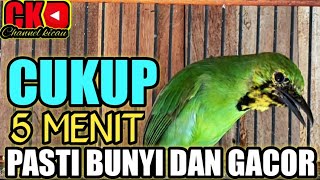 Download lagu PANCINGAN CUCAK IJO BIAR BUNYI DAN GACOR, AMPUH UNTUK PANCINGAN CUCAK IJO BAHAN mp3 Download lagu PANCINGAN CUCAK IJO BIAR BUNYI DAN GACOR, AMPUH UNTUK PANCINGAN CUCAK IJO BAHAN mp3