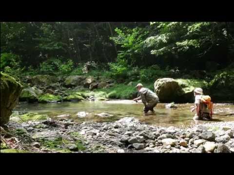 Fly fishing in Japan.