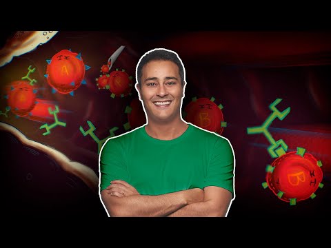 Como Funciona o SISTEMA ABO | Prof. Paulo Jubilut