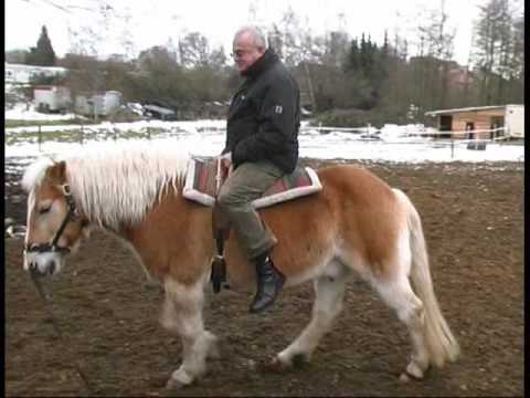 Heimtiermesse Kamen Hund l Katze l Pferd (Teil 3)