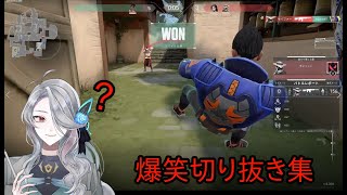 【VALORANT】鳴蝶院アドニスが爆笑してるだけ【Vtuber】