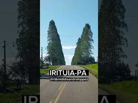 @irituia-pa🎬✅
