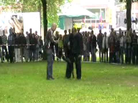 Zwabber schot en werp