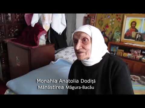 Părintele Nil Dorobanțu - Nebun pentru Hristos