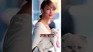 Taylor Swift's cat made $97,000,000