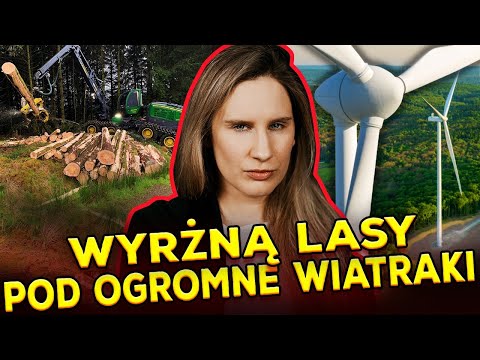 WIELKIE WIATRAKI W LESIE! TO NIE SEN WARIATA, A CYNICZNY PLAN