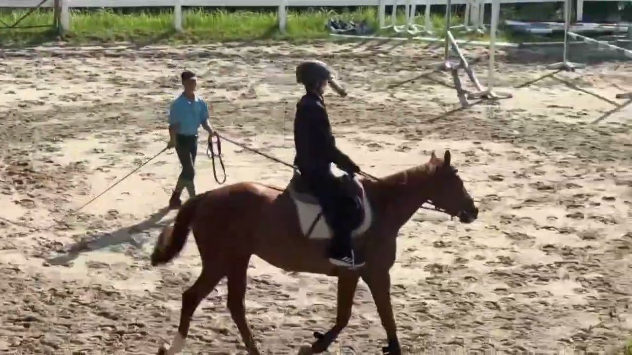 [No.164]色々な夢中を探ろう