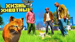 БОМЖИ ХОТЯТ СЪЕСТЬ КОТА! ЖИЗНЬ ЖИВОТНЫХ В GTA 5. Серия 5
