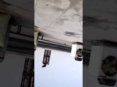 Offline Oil Chiller Repairing Service