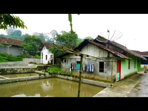 Desa Yang Indah Asri dan Sejuk, Kleyang Jurang Pungangan Mojotengah Wonosobo Jawa Tengah Indonesia