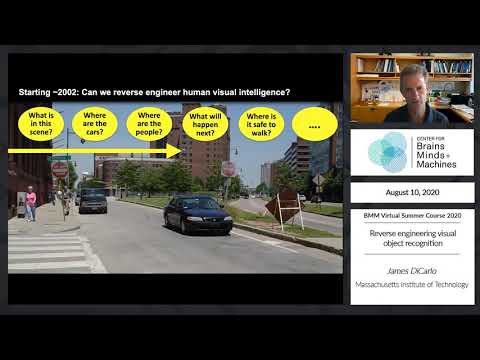 Reverse engineering visual object recognition
