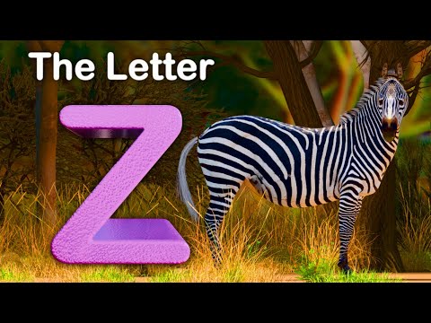 The Letter Z