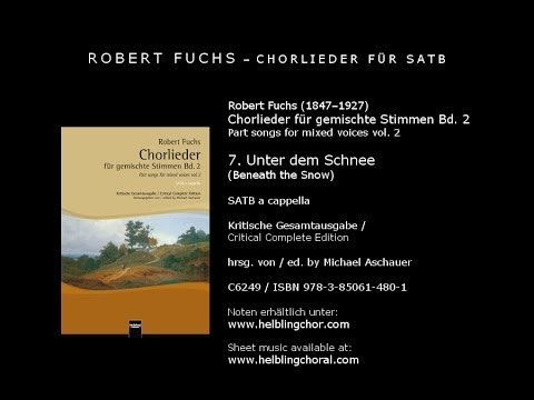 Robert Fuchs - Unter dem Schnee (Beneath the Snow)