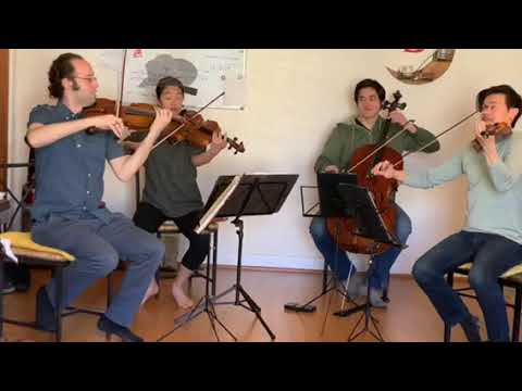 Beethoven Rehearsal Blooper - String Quartet Op. 131 in C# minor (Telegraph Quartet)