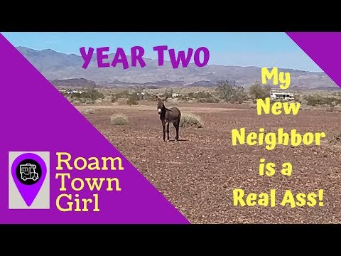 Meet My Ass of a Neighbor!