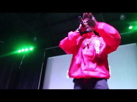 Veezo Views perfomance