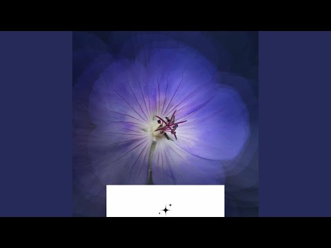 Opulent Ambience for Cloudy Work Day