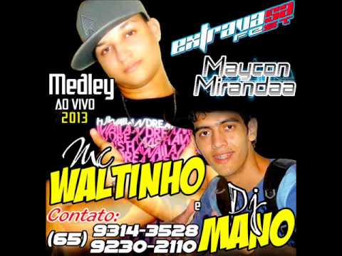Mc Waltinho - Medley AO VIVO 2013