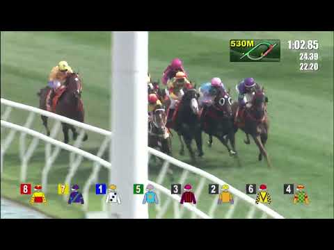 金鎗六十22/04/24……(611)第八塲一級1600米